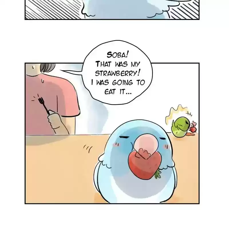 A Budgie's Life Chapter 223: Ep.222: