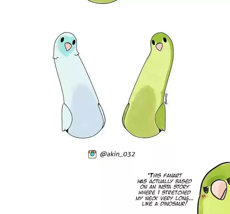 A Budgie's Life Chapter 223: Ep.222: