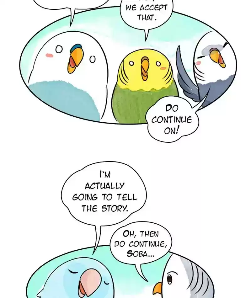 A Budgie's Life Chapter 224: Ep.223:
