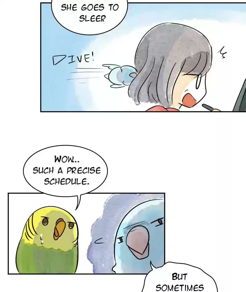 A Budgie's Life Chapter 224: Ep.223: