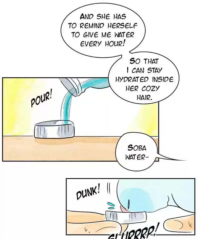 A Budgie's Life Chapter 224: Ep.223: