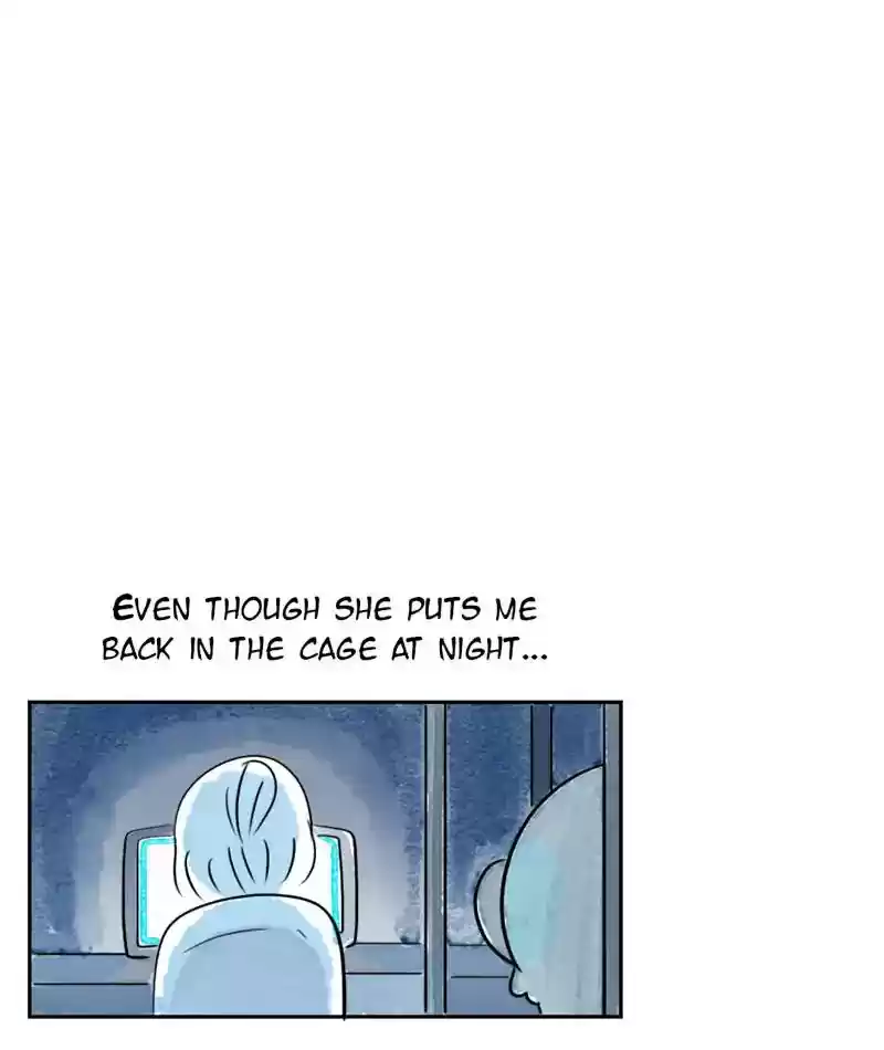 A Budgie's Life Chapter 224: Ep.223: