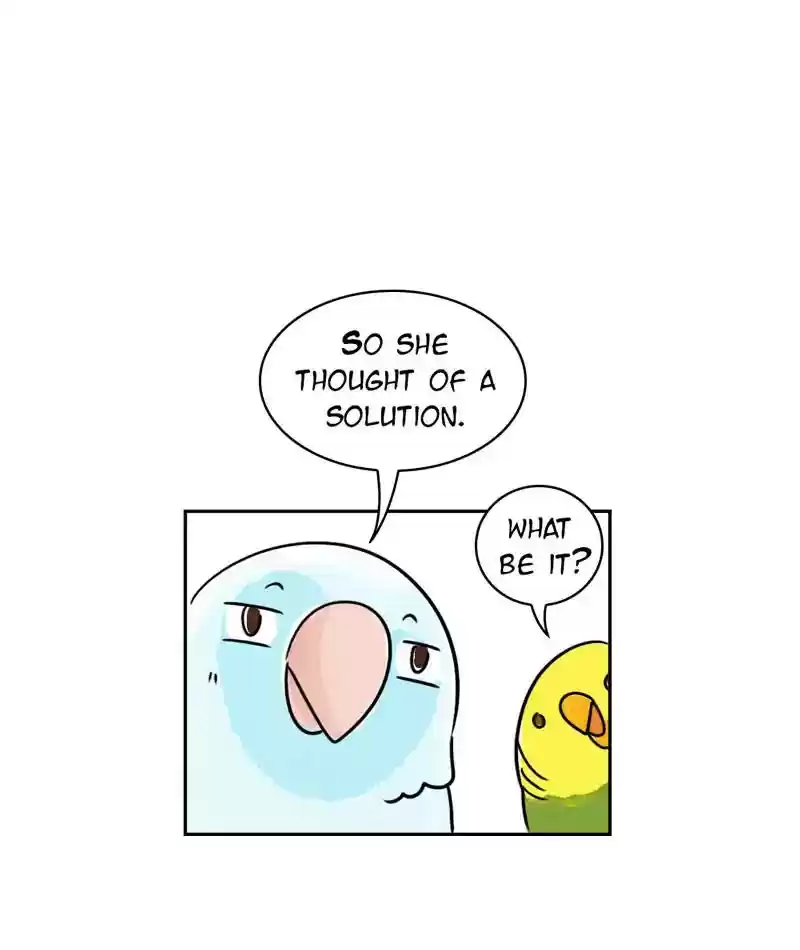 A Budgie's Life Chapter 224: Ep.223: