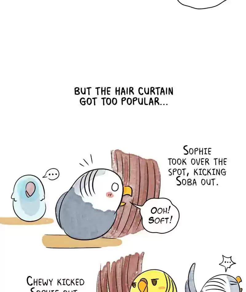 A Budgie's Life Chapter 224: Ep.223: