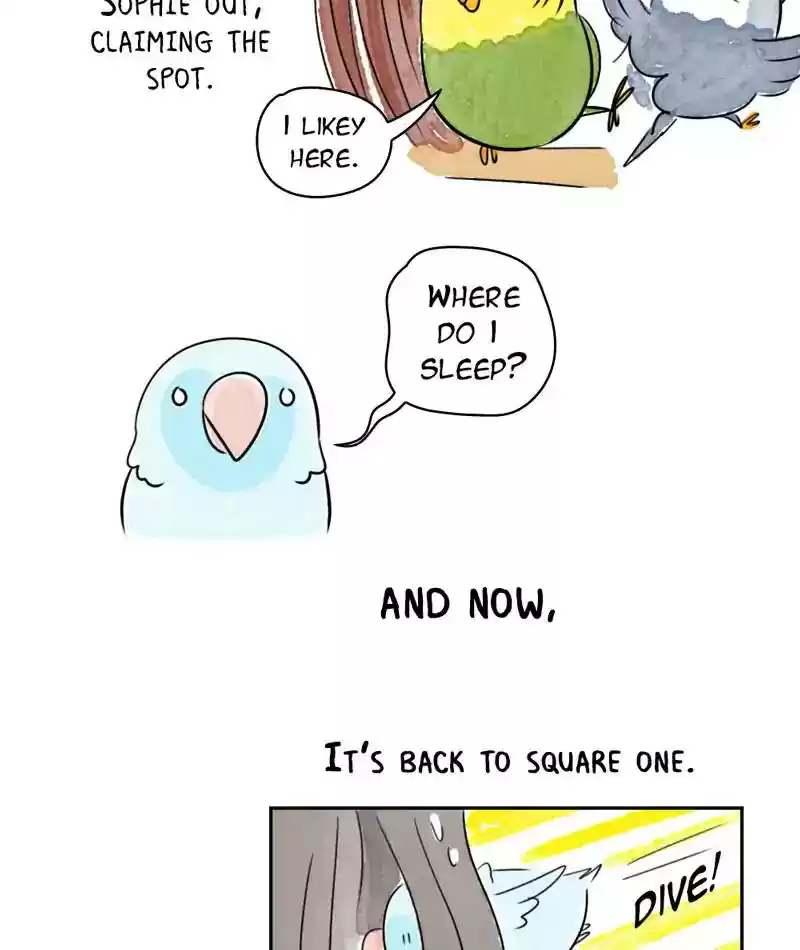 A Budgie's Life Chapter 224: Ep.223:
