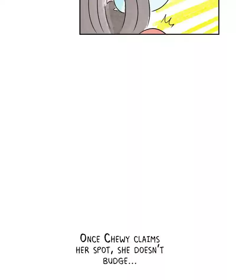 A Budgie's Life Chapter 224: Ep.223: