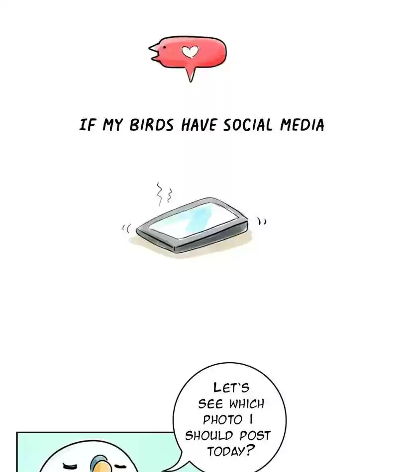 A Budgie's Life Chapter 225: Ep.224: