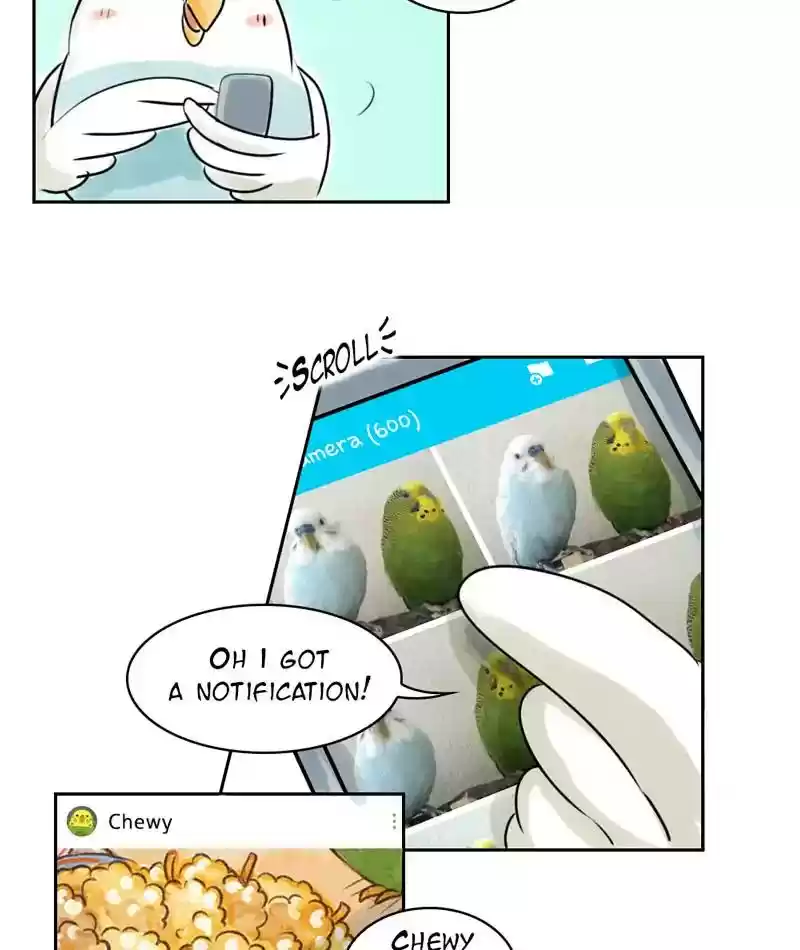 A Budgie's Life Chapter 225: Ep.224:
