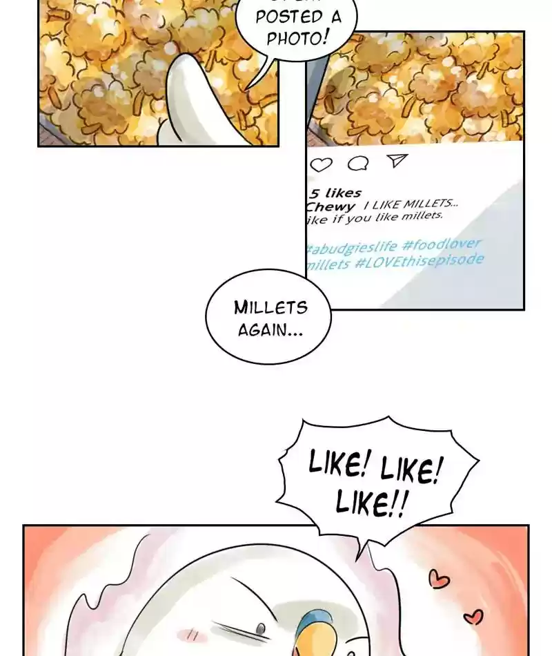 A Budgie's Life Chapter 225: Ep.224: