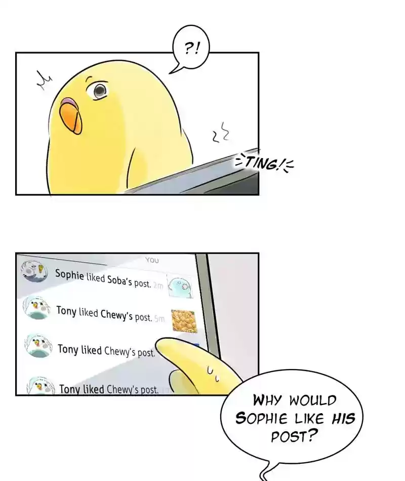 A Budgie's Life Chapter 225: Ep.224: