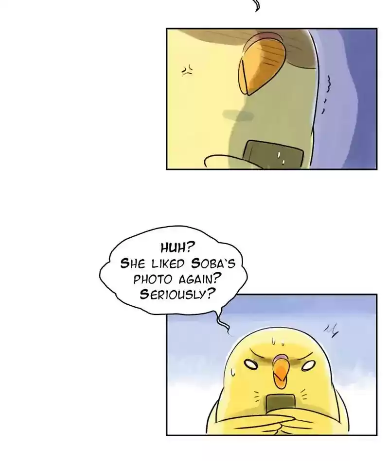 A Budgie's Life Chapter 225: Ep.224: