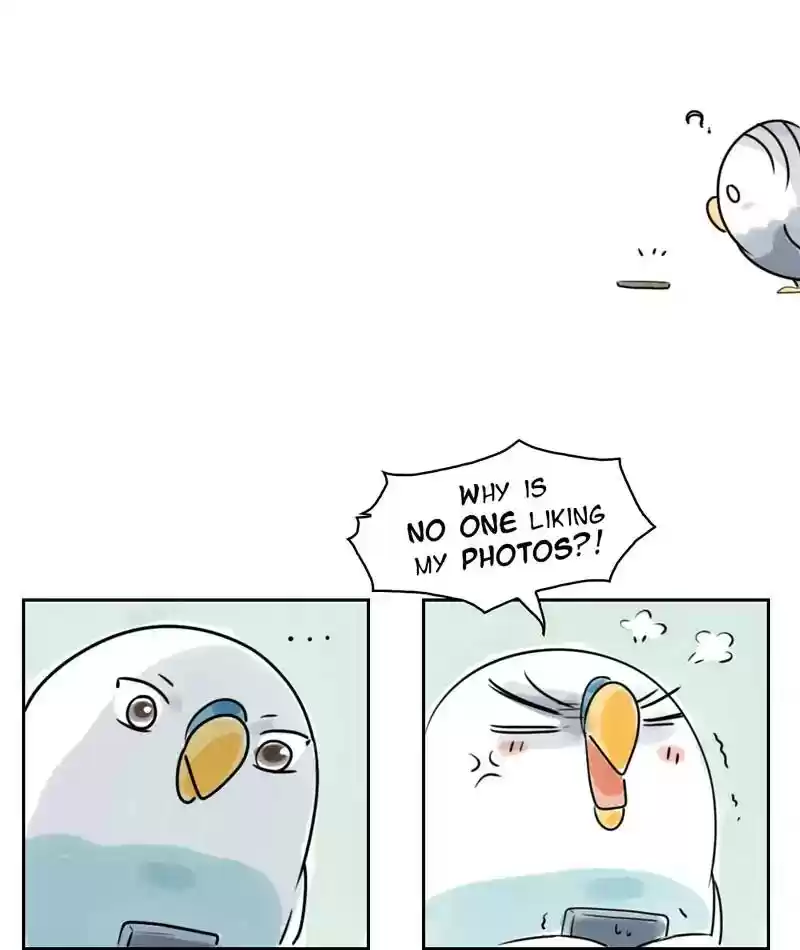 A Budgie's Life Chapter 225: Ep.224:
