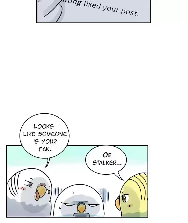 A Budgie's Life Chapter 225: Ep.224: