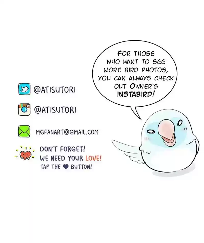 A Budgie's Life Chapter 225: Ep.224: