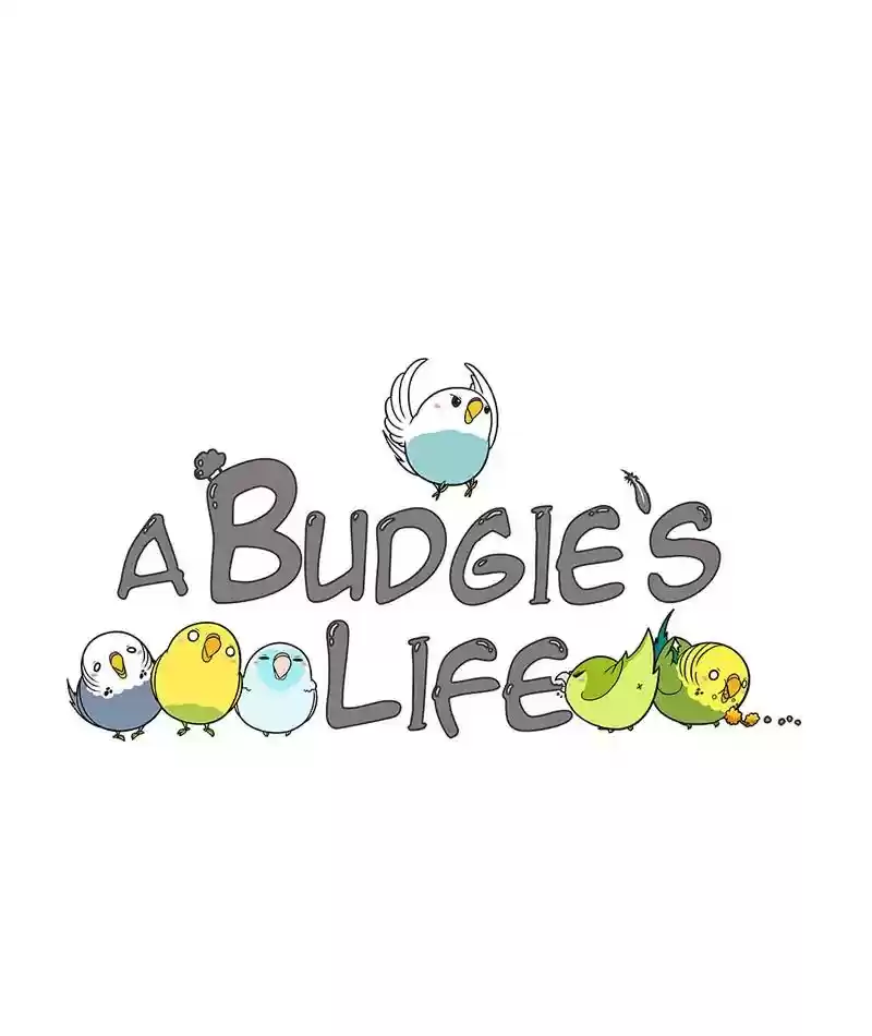 A Budgie's Life Chapter 226: Ep.225: