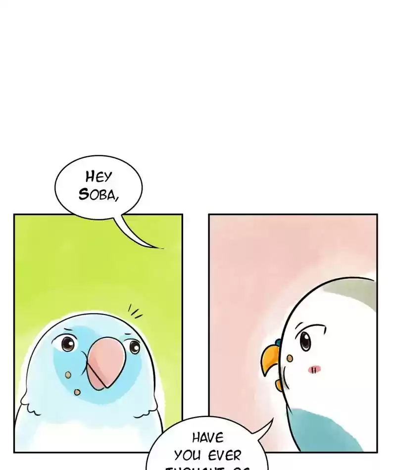 A Budgie's Life Chapter 226: Ep.225: