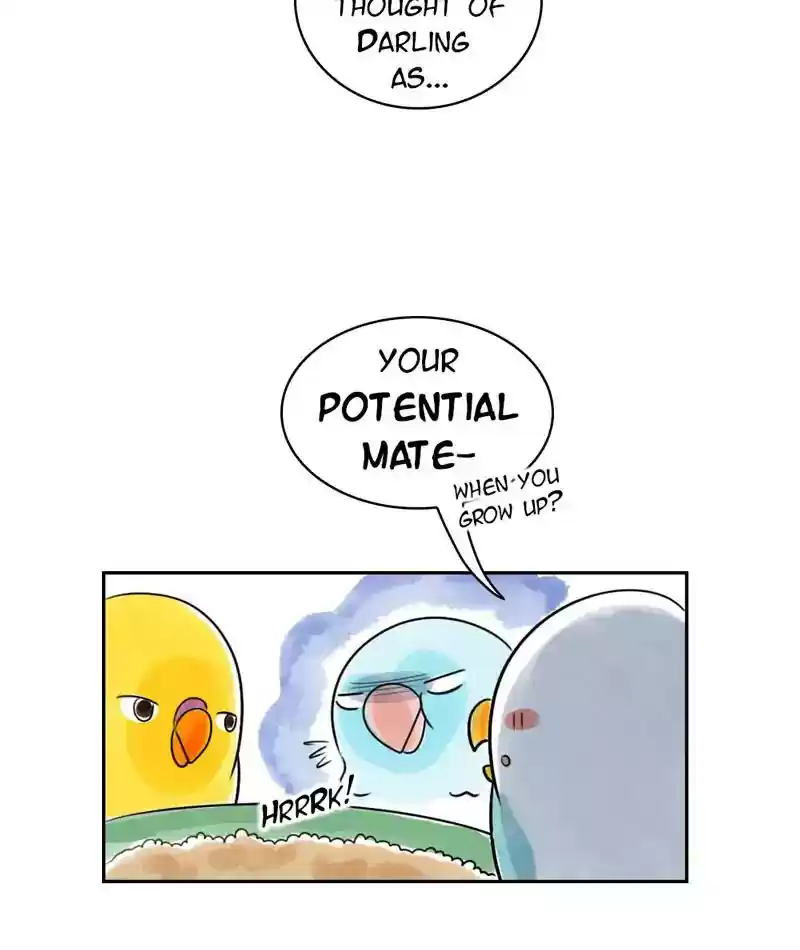 A Budgie's Life Chapter 226: Ep.225: