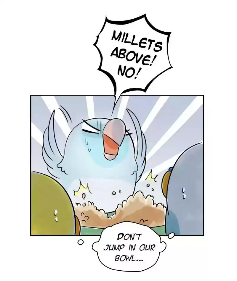 A Budgie's Life Chapter 226: Ep.225: