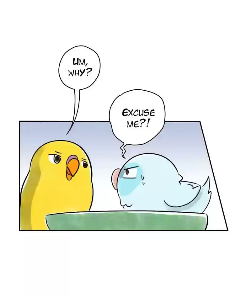 A Budgie's Life Chapter 226: Ep.225: