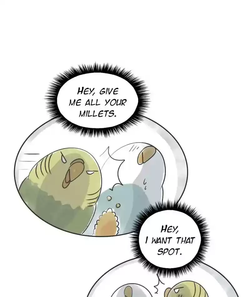 A Budgie's Life Chapter 226: Ep.225: