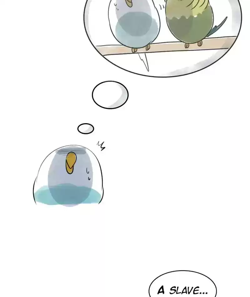 A Budgie's Life Chapter 226: Ep.225: