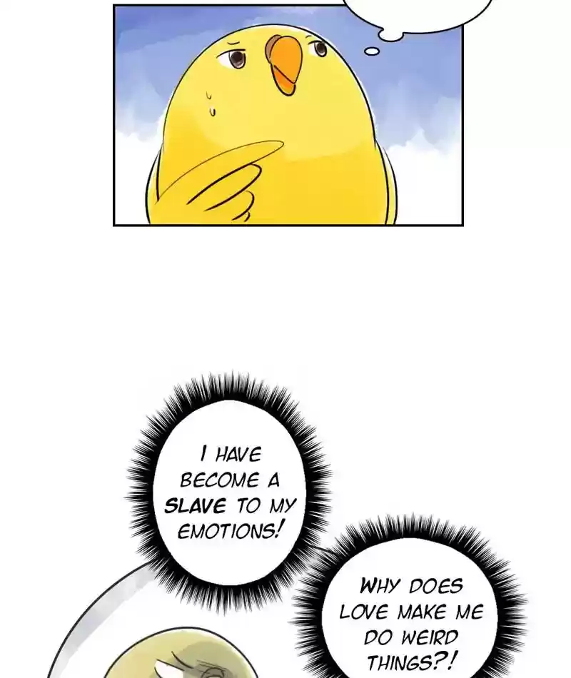 A Budgie's Life Chapter 226: Ep.225: