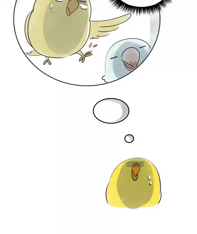 A Budgie's Life Chapter 226: Ep.225: