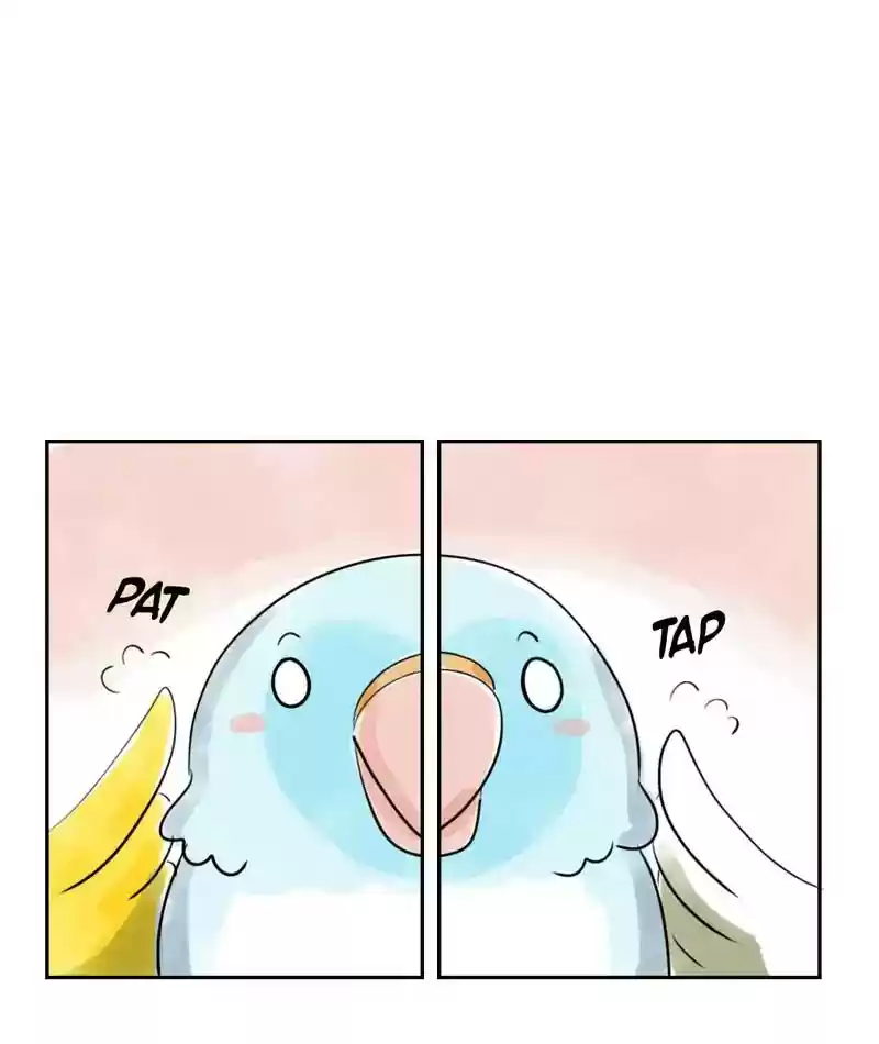 A Budgie's Life Chapter 226: Ep.225: