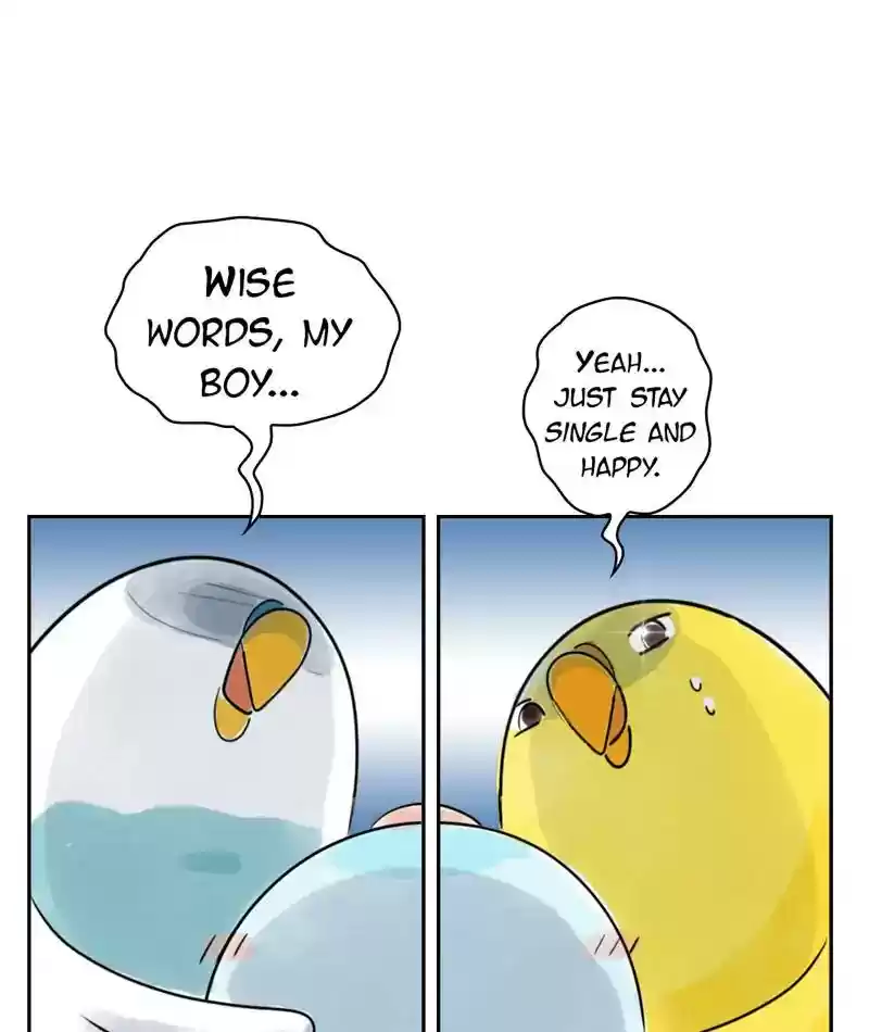 A Budgie's Life Chapter 226: Ep.225: