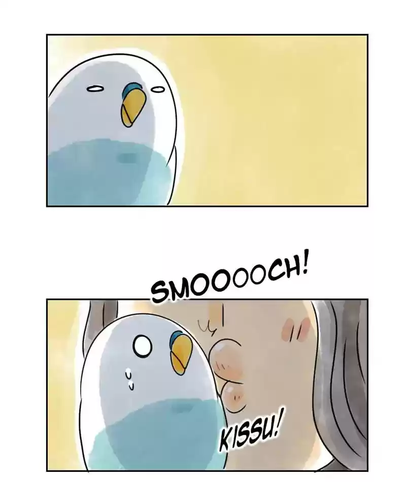 A Budgie's Life Chapter 227: Ep.226: