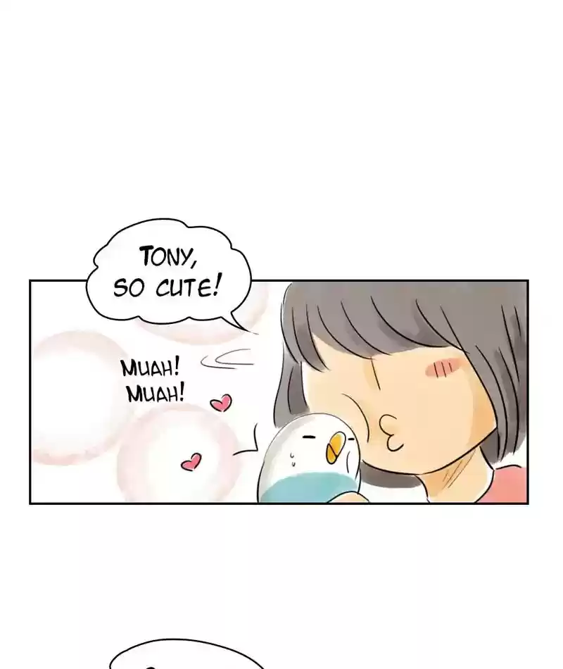 A Budgie's Life Chapter 227: Ep.226: