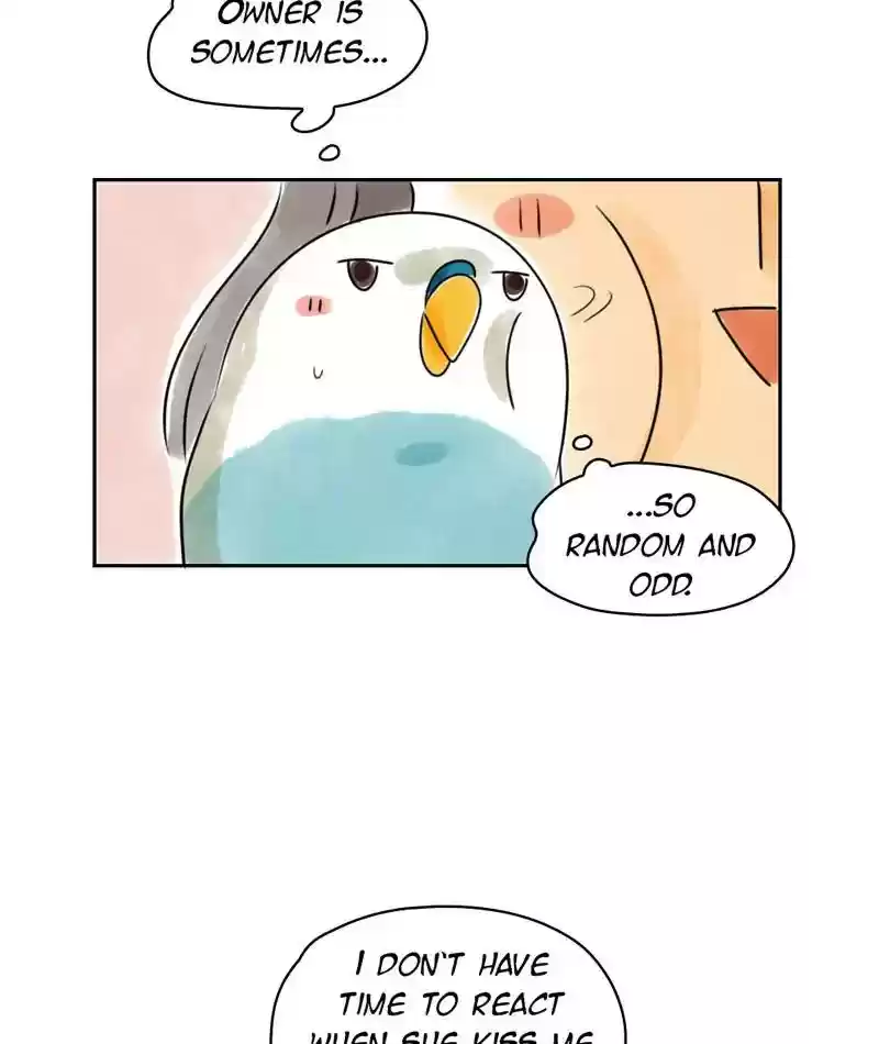 A Budgie's Life Chapter 227: Ep.226: