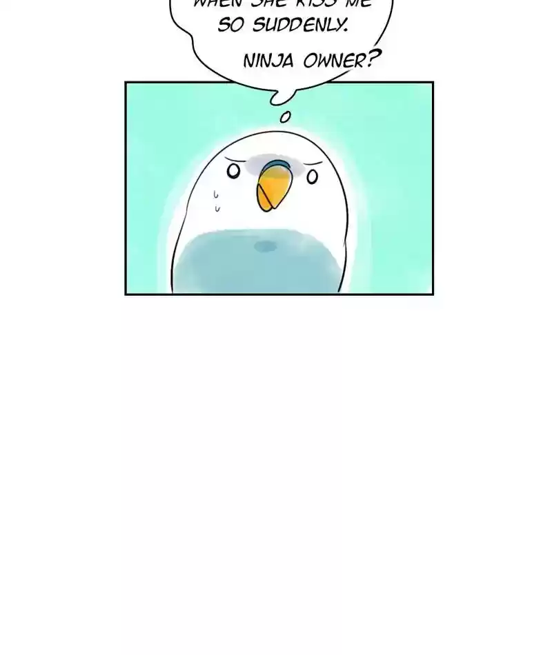 A Budgie's Life Chapter 227: Ep.226: