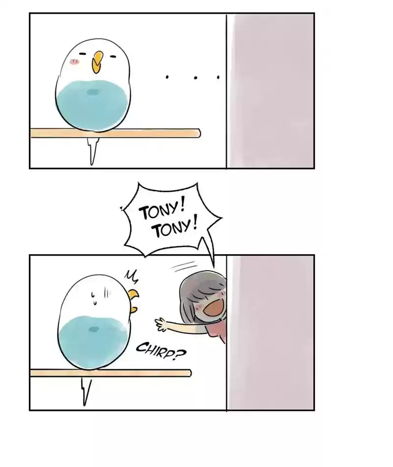 A Budgie's Life Chapter 227: Ep.226: