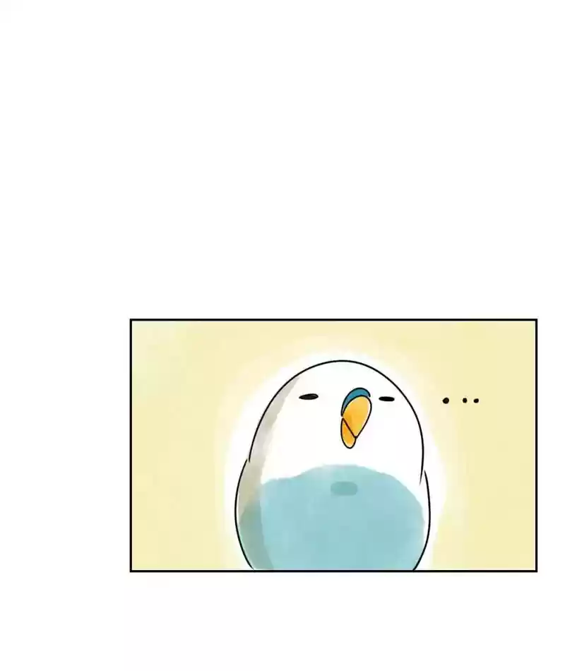 A Budgie's Life Chapter 227: Ep.226: