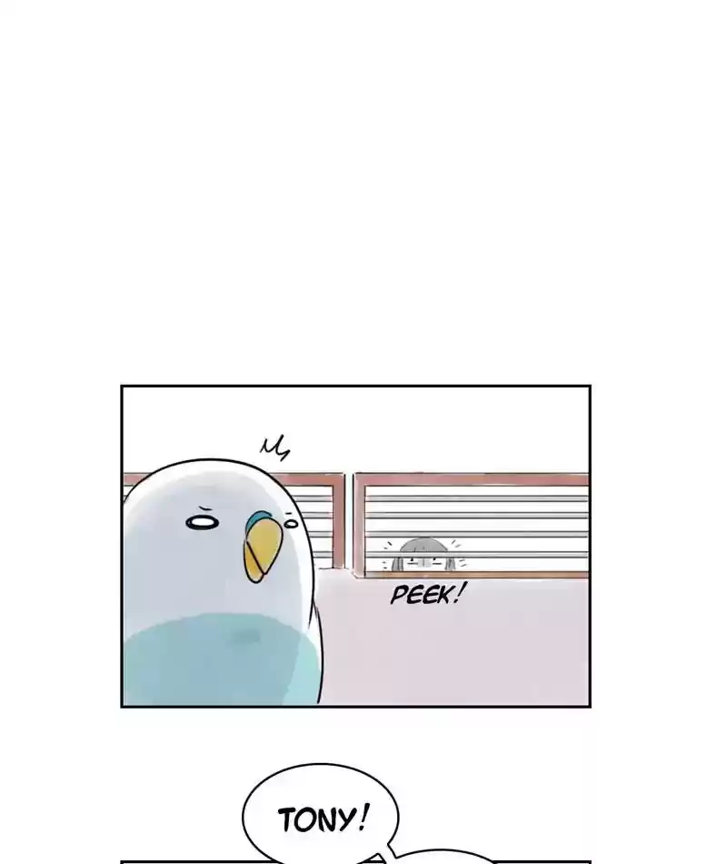 A Budgie's Life Chapter 227: Ep.226: