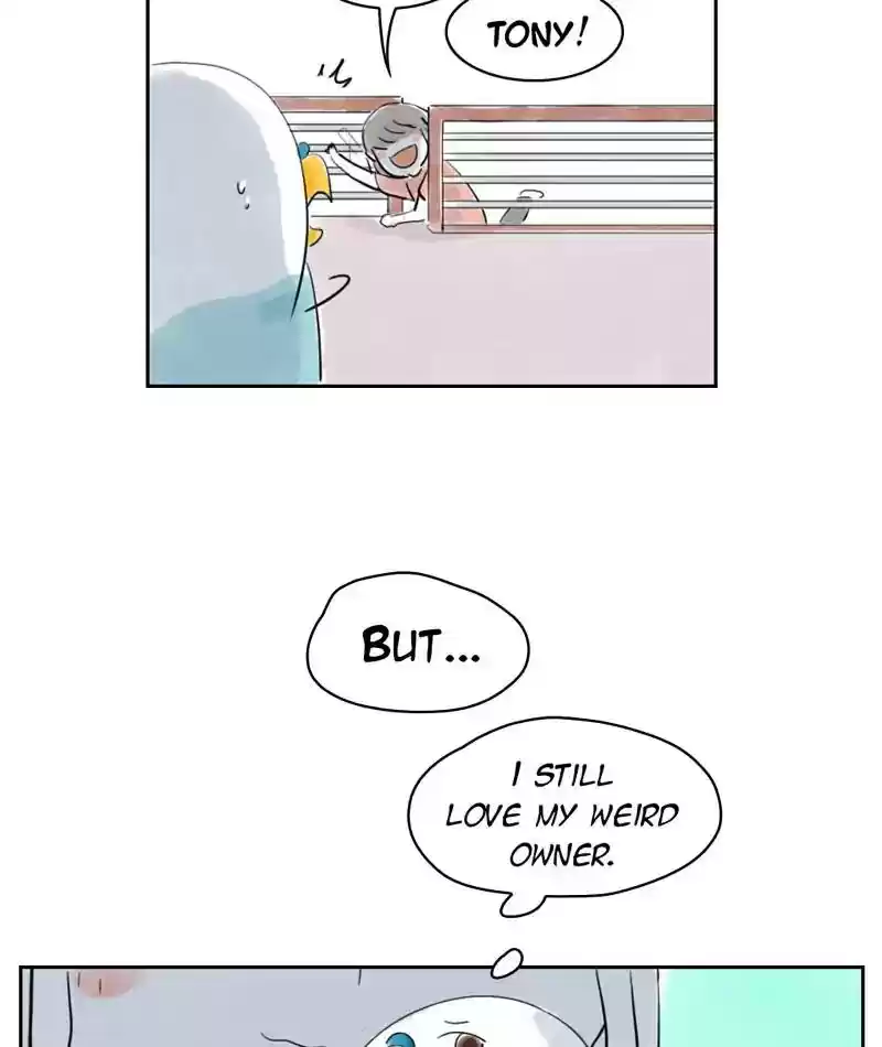 A Budgie's Life Chapter 227: Ep.226: