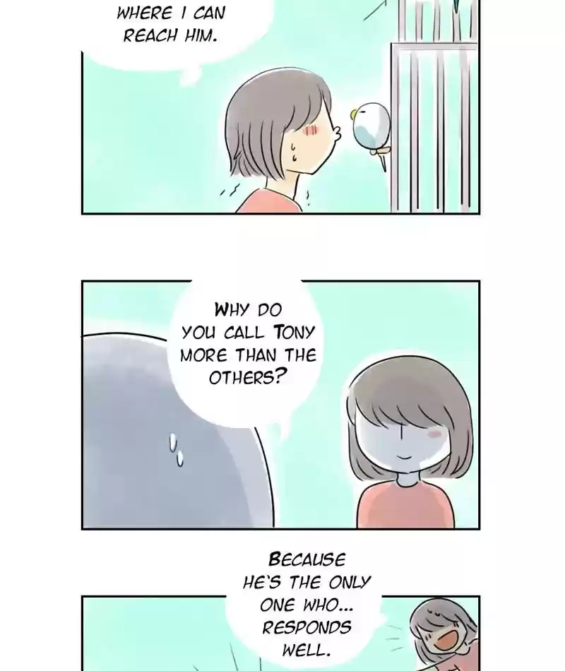 A Budgie's Life Chapter 227: Ep.226: