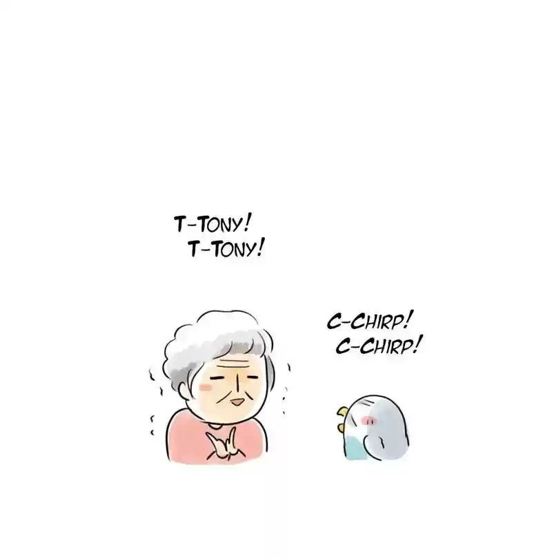 A Budgie's Life Chapter 227: Ep.226: