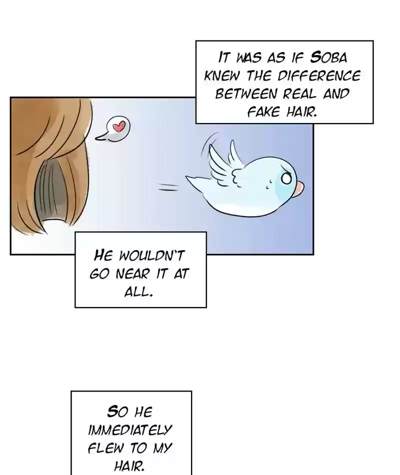 A Budgie's Life Chapter 228: Ep.227: