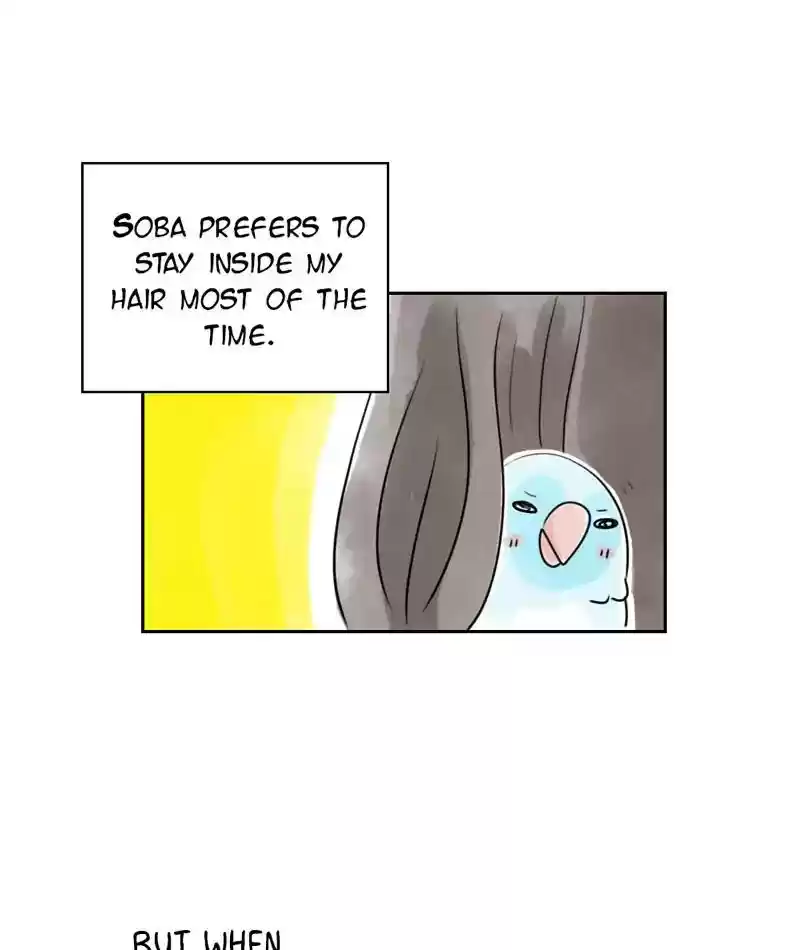A Budgie's Life Chapter 228: Ep.227: