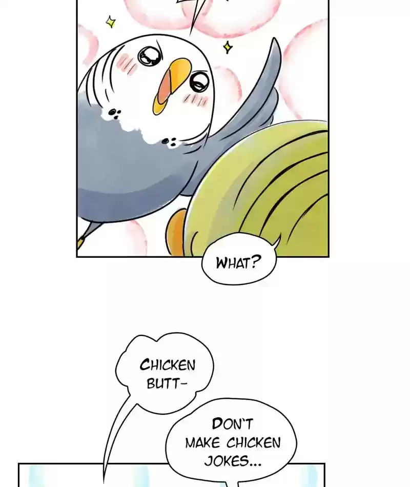 A Budgie's Life Chapter 229: Ep.228: