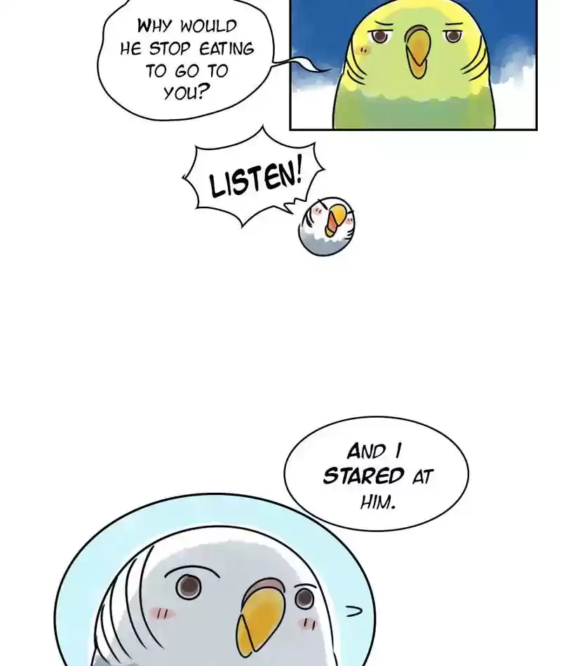 A Budgie's Life Chapter 229: Ep.228: