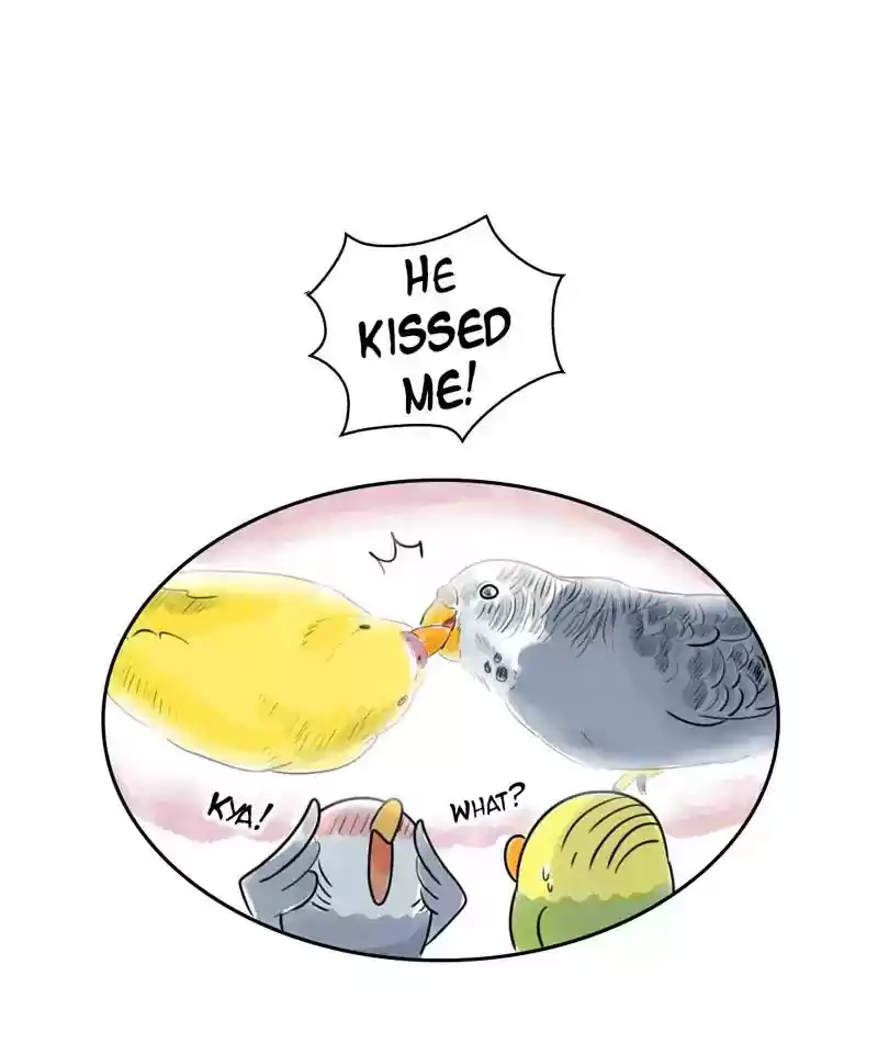 A Budgie's Life Chapter 229: Ep.228: