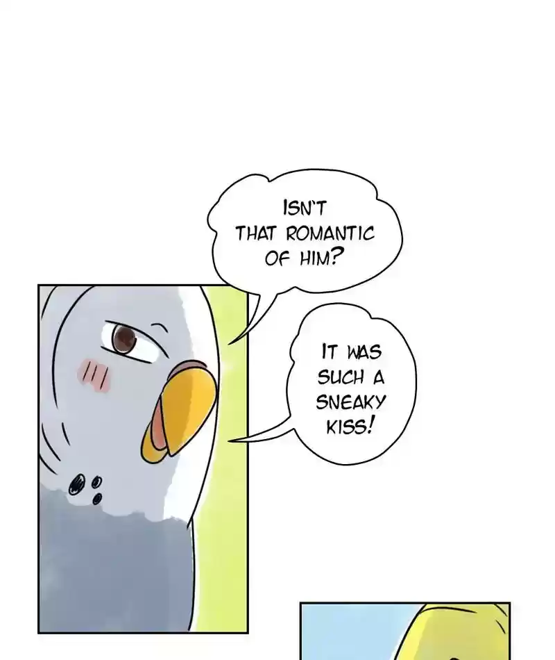 A Budgie's Life Chapter 229: Ep.228: