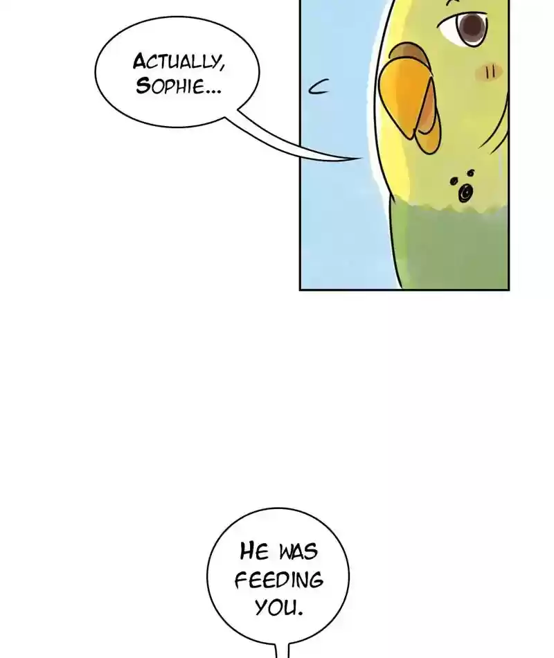 A Budgie's Life Chapter 229: Ep.228: