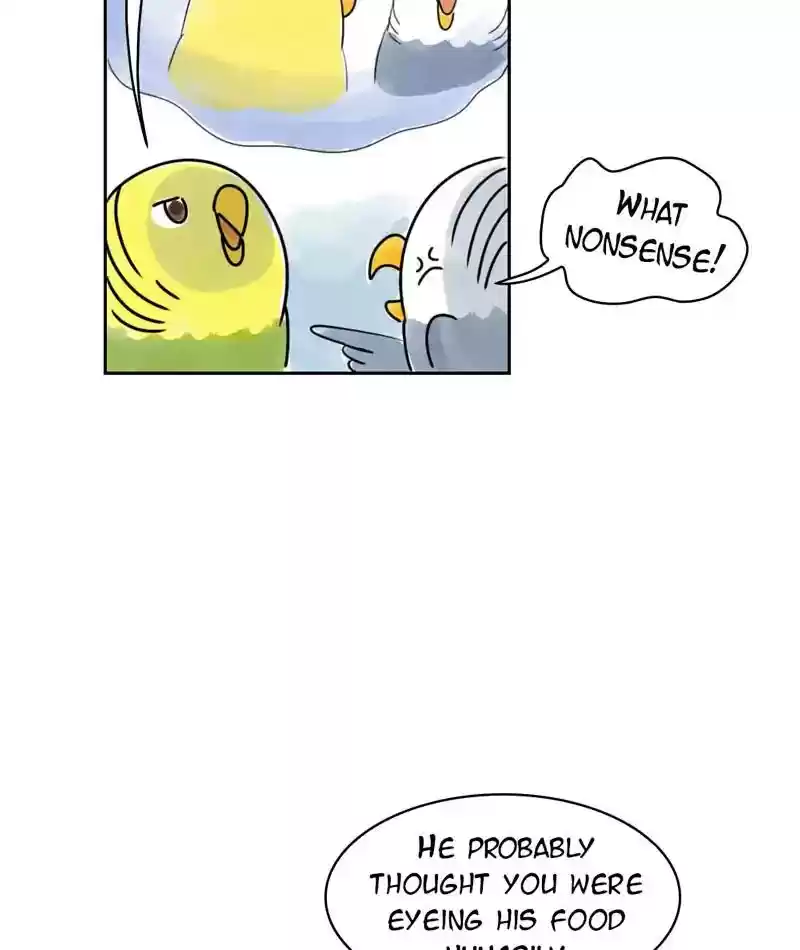 A Budgie's Life Chapter 229: Ep.228: