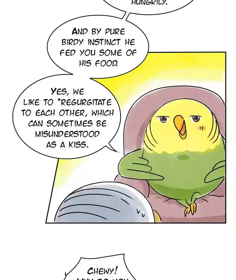 A Budgie's Life Chapter 229: Ep.228: