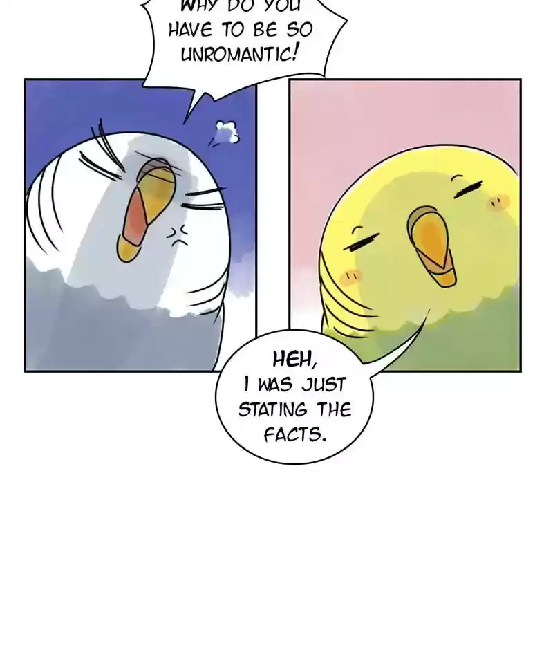 A Budgie's Life Chapter 229: Ep.228: