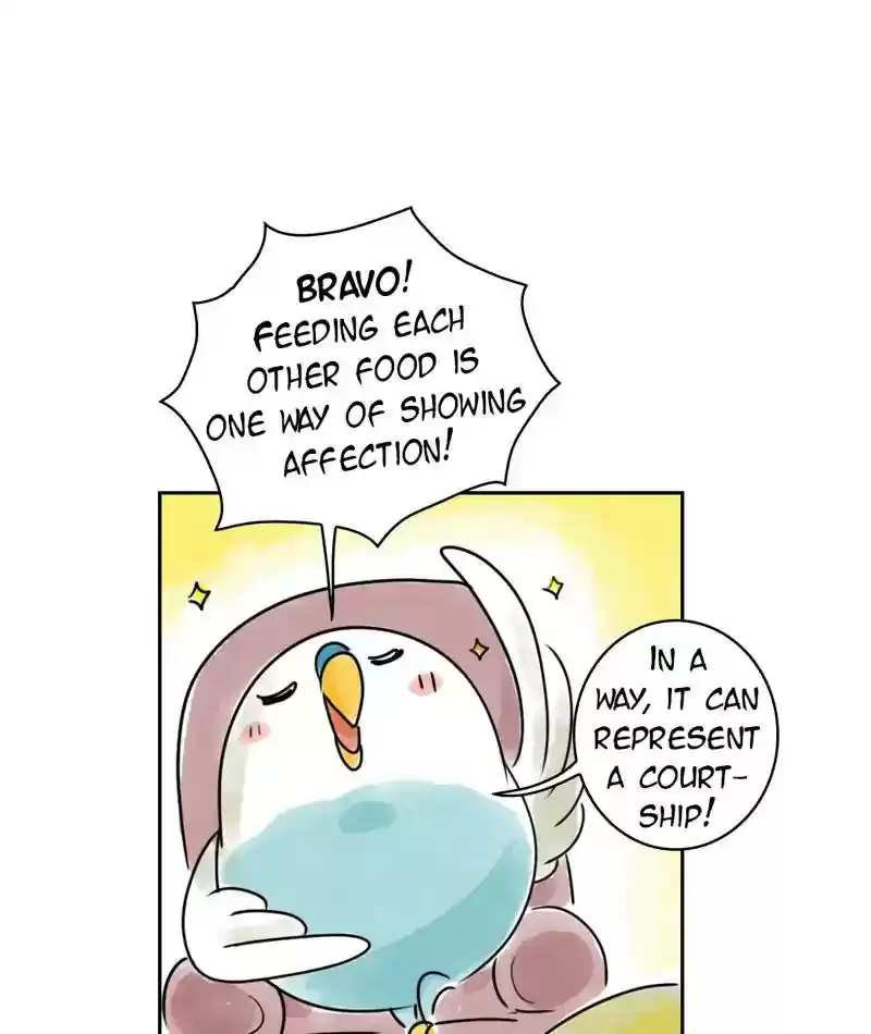 A Budgie's Life Chapter 229: Ep.228: